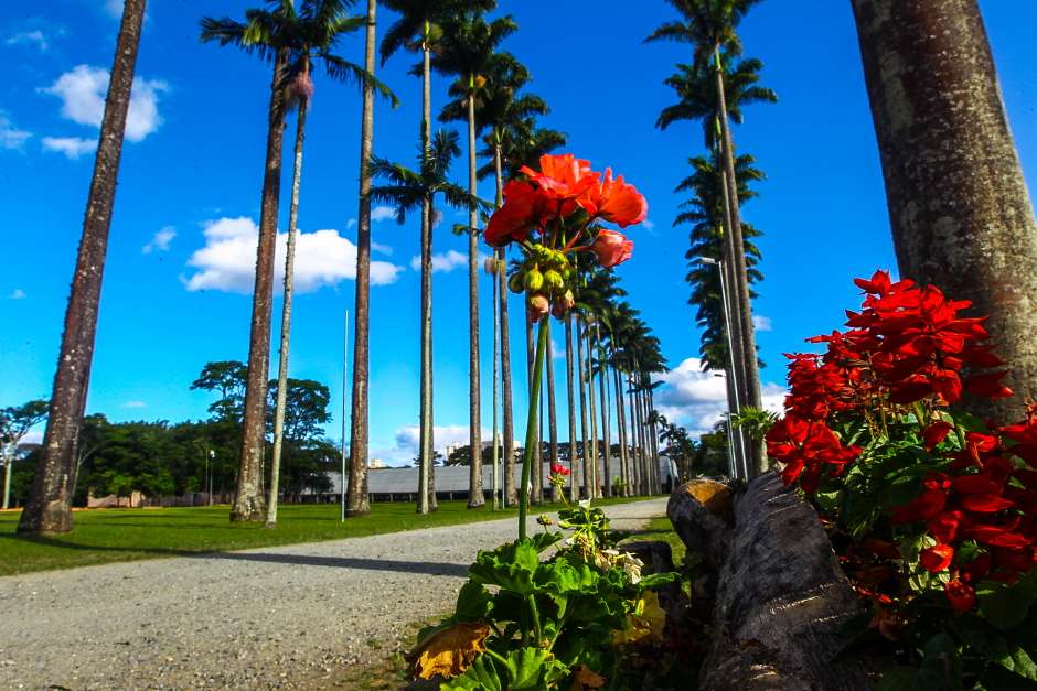Conheça os 6 principais parques de São José dos Campos
