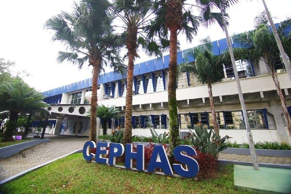 Colégio Cephas abre 3 mil vagas gratuitas em cursos EaD em São José dos Campos