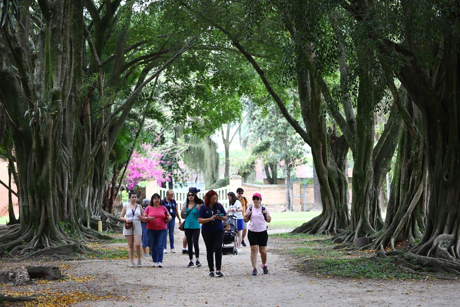 Último City Tour do ano vai visitar as atrações do Parque da Cidade em São José