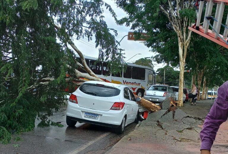 Chuvas causam estragos na tarde desta quarta-feira em São José