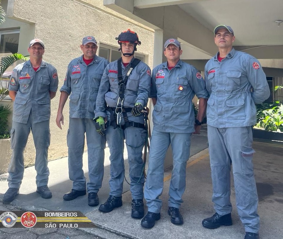 Bombeiros salvam bem-te-vi