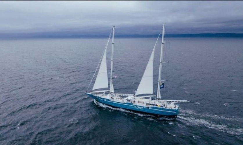 Porto de São Sebastião terá exportação de café especial em embarcação à vela