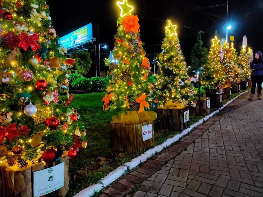 Campos do Jordão terá Circuito das Árvores de Natal com 45 mil lâmpadas