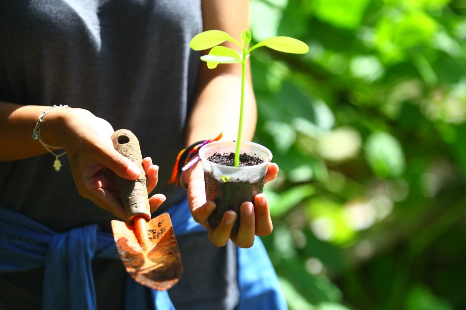 São José dos Campos recebe o 4º Fórum Latino-Americano e Caribenho de Florestas Urbanas